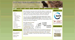 Desktop Screenshot of equids.org